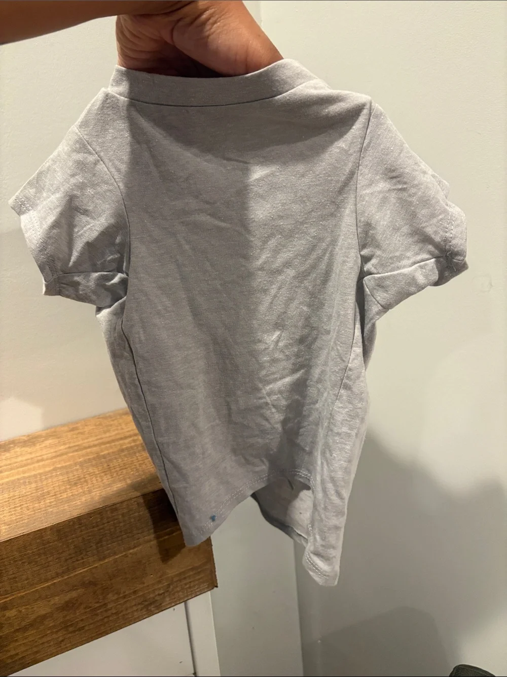 Aaliyah Graphic Tee for dogs